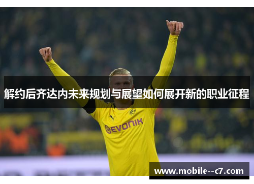 解约后齐达内未来规划与展望如何展开新的职业征程