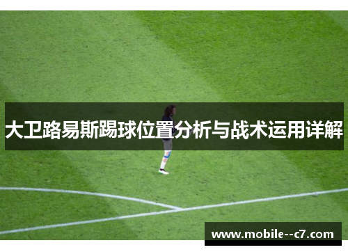 大卫路易斯踢球位置分析与战术运用详解