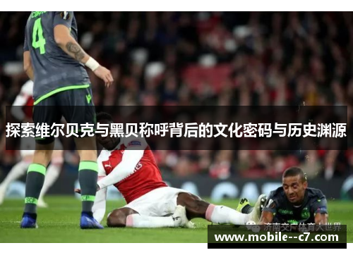 探索维尔贝克与黑贝称呼背后的文化密码与历史渊源