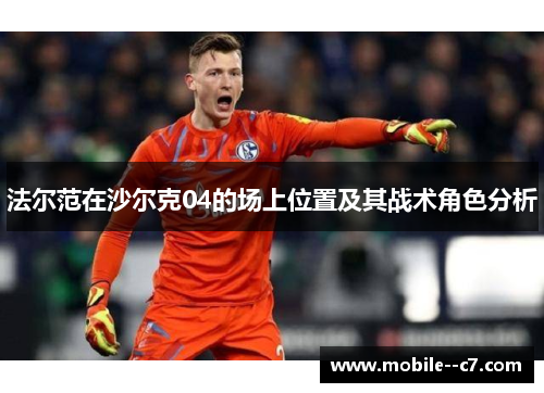 法尔范在沙尔克04的场上位置及其战术角色分析
