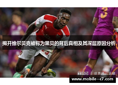 揭开维尔贝克被称为黑贝的背后真相及其深层原因分析