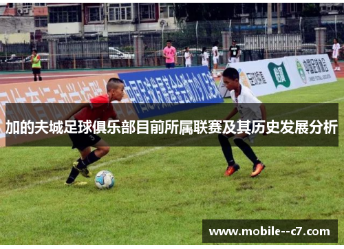 加的夫城足球俱乐部目前所属联赛及其历史发展分析