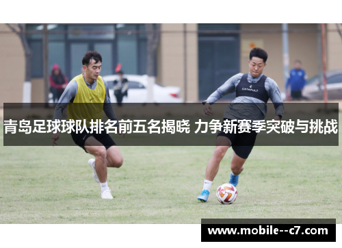 青岛足球球队排名前五名揭晓 力争新赛季突破与挑战