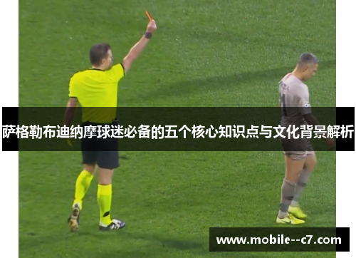 萨格勒布迪纳摩球迷必备的五个核心知识点与文化背景解析