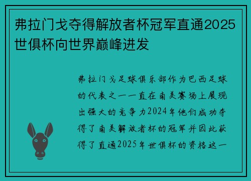 弗拉门戈夺得解放者杯冠军直通2025世俱杯向世界巅峰进发