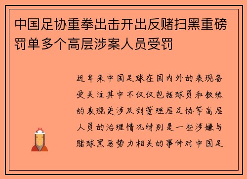 中国足协重拳出击开出反赌扫黑重磅罚单多个高层涉案人员受罚